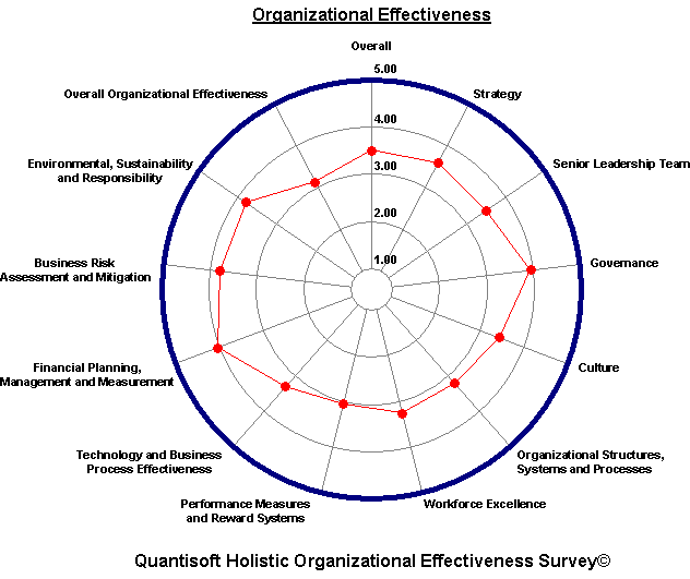 holistic strategic organizational effectiveness survey profile graph